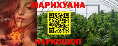 стаф Лесосибирск