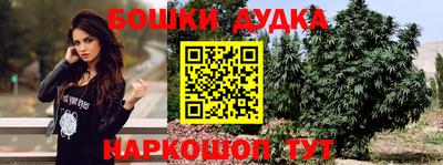 стаф Лесосибирск
