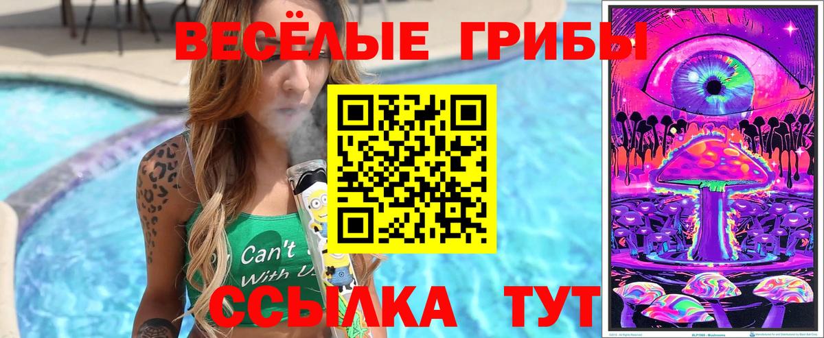 Псилоцибиновые грибы MAGIC MUSHROOMS Ижевск