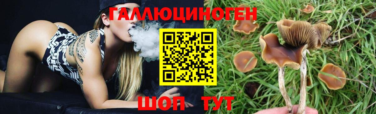 Галлюциногенные грибы GOLDEN TEACHER  Вход с VPN  Ижевск 